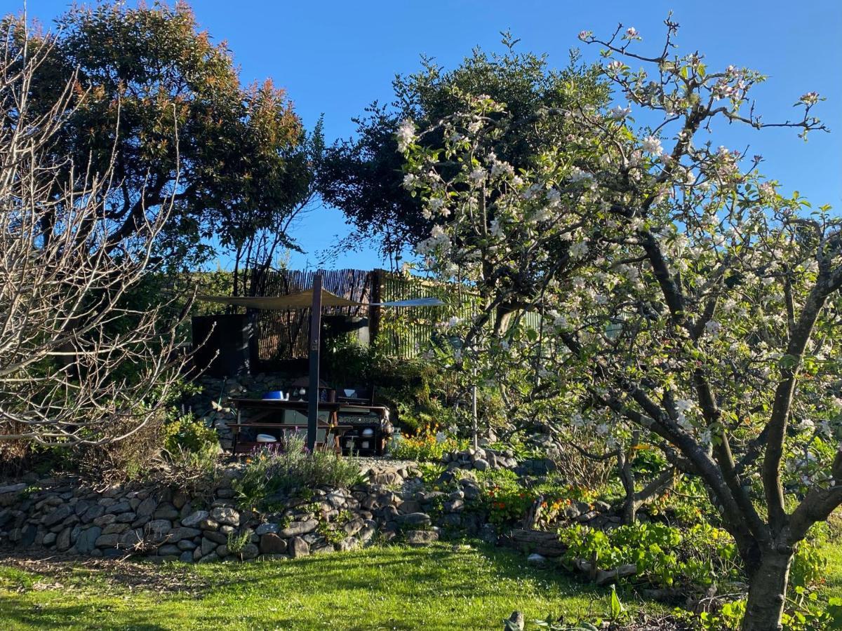 Hotel Omarama Oasis - Permaculture Glamping Pohara Exterior foto