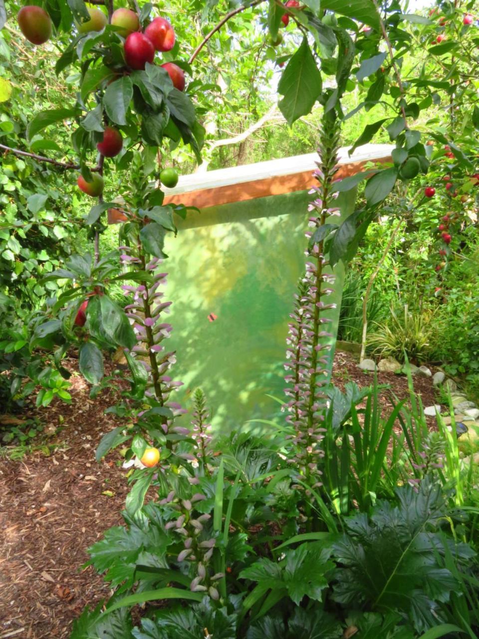Hotel Omarama Oasis - Permaculture Glamping Pohara Exterior foto